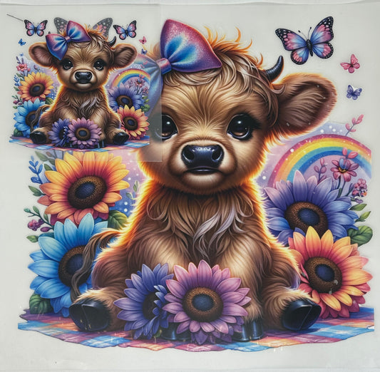 1. Cute highland cow (front and back)