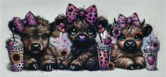11 Brown Highland Cows with Pink Bows