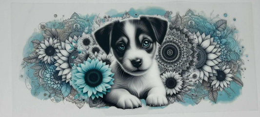 Puppy Jack Russell