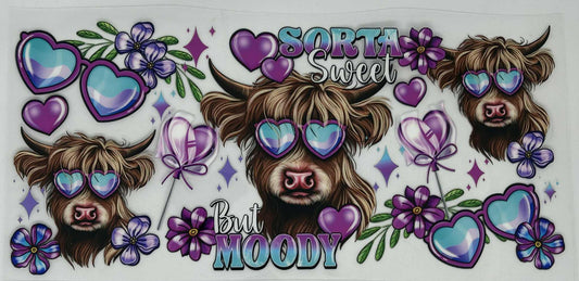 10 Highland Cow  - Sorta Sweet but Moody