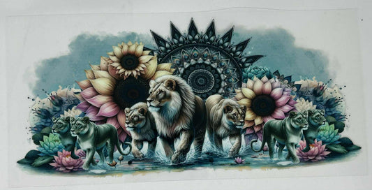 Lions Amongst Flowers