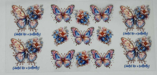 Colourful  Butterflies