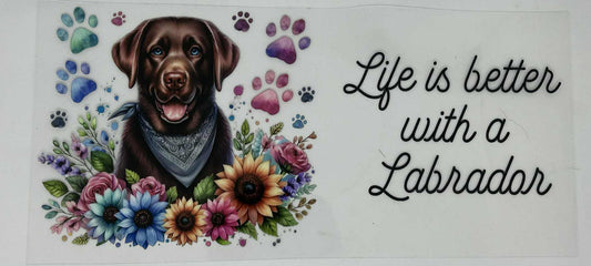 Life With Labrador